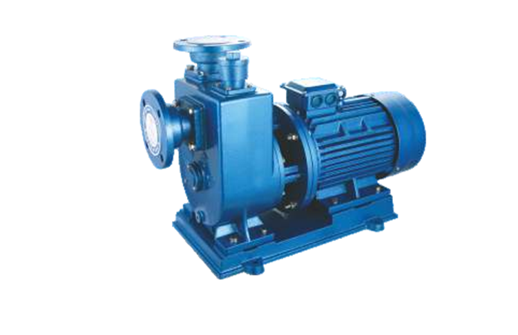 BZ/ZXY直聯(lian)式自吸噴灌(guan)泵