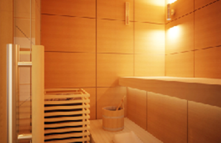 泳池(chi)設備-幹(gàn)濕蒸